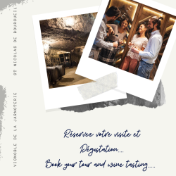 Visite Guidée De Notre Domaine